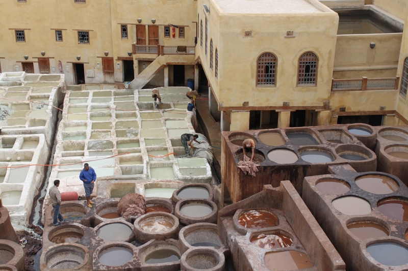 Leather Tanning